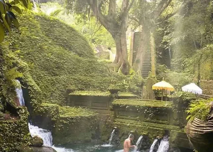 D Angga Tampaksiring Tegallalang (Bali)