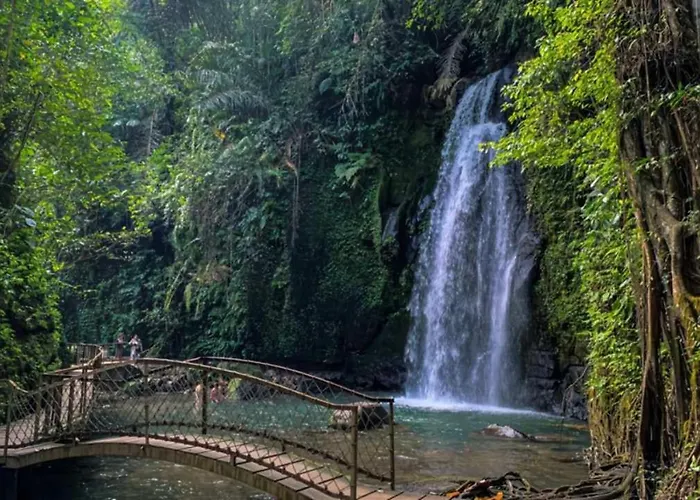 D Angga Tampaksiring Alojamento de Turismo Selvagem Tegallalang (Bali)